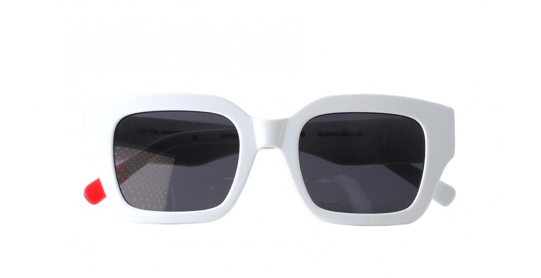 GMS7001 C-4