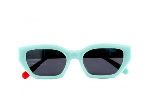 GMS7002 C-4