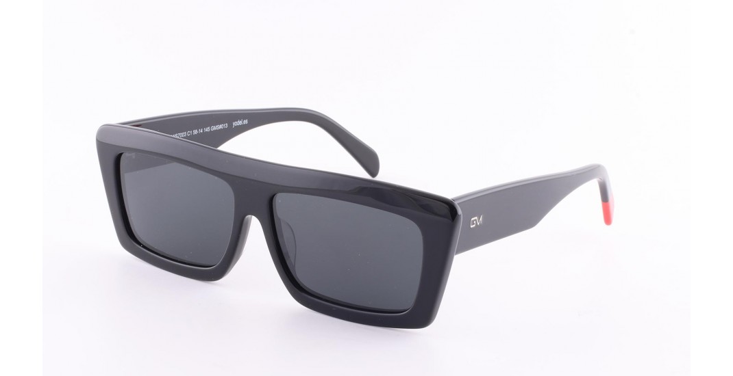 GMS7003 C-1