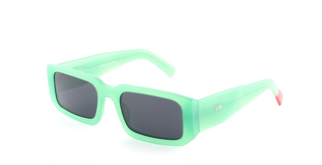 GMS7004 C-2