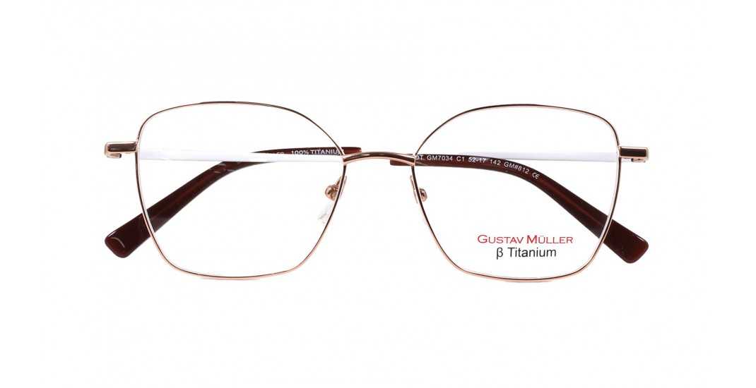 GM7034 C-1 TITANIUM