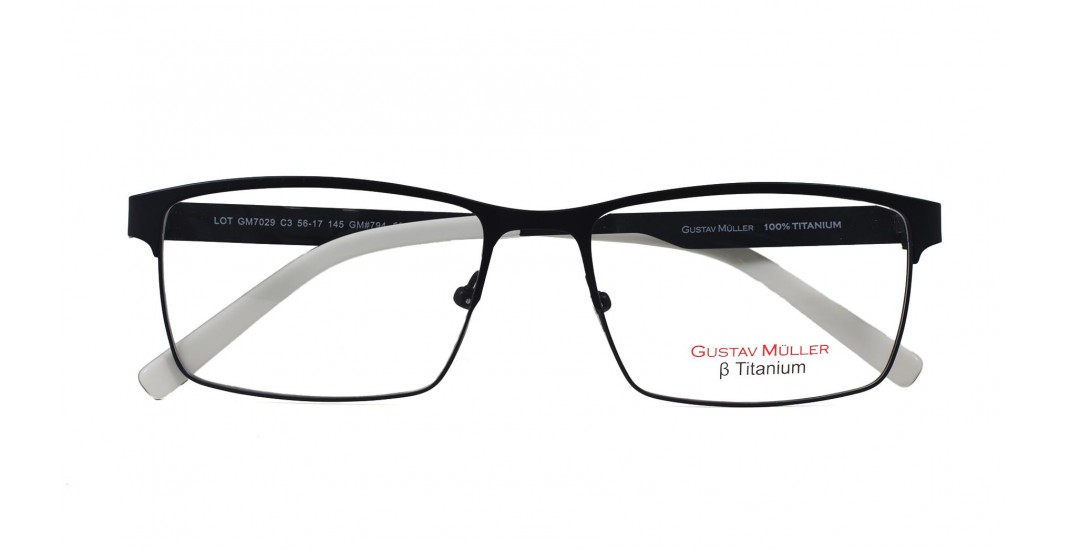 GM7029 C-3 TITANIUM